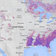 Illustration for article titled Google Launches Tool to Monitor Deforestation in Near-Realtime